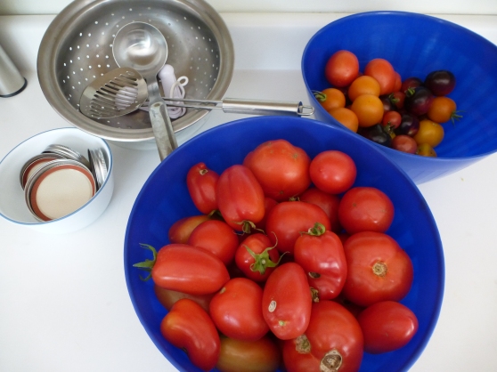 Prepping for canning tomatoes, LittleLAGarden